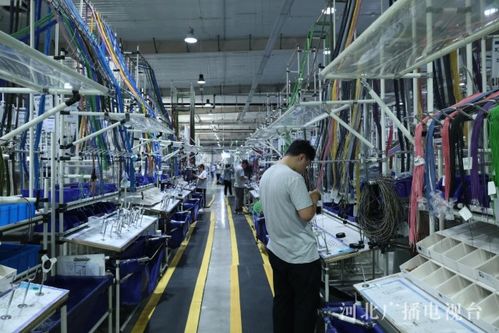 協同發展譜新篇丨數智賦能 產業筑基 廊坊在京津冀協同中打造增長新引擎